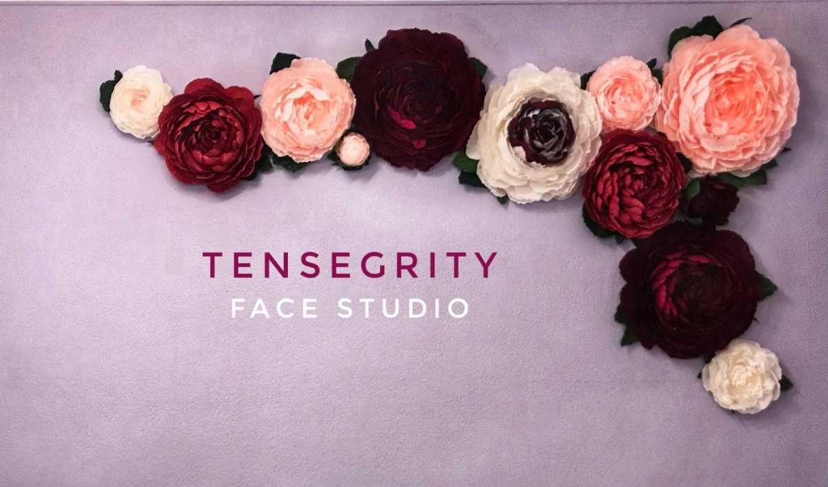 Logo de Tensegrity Face Studio