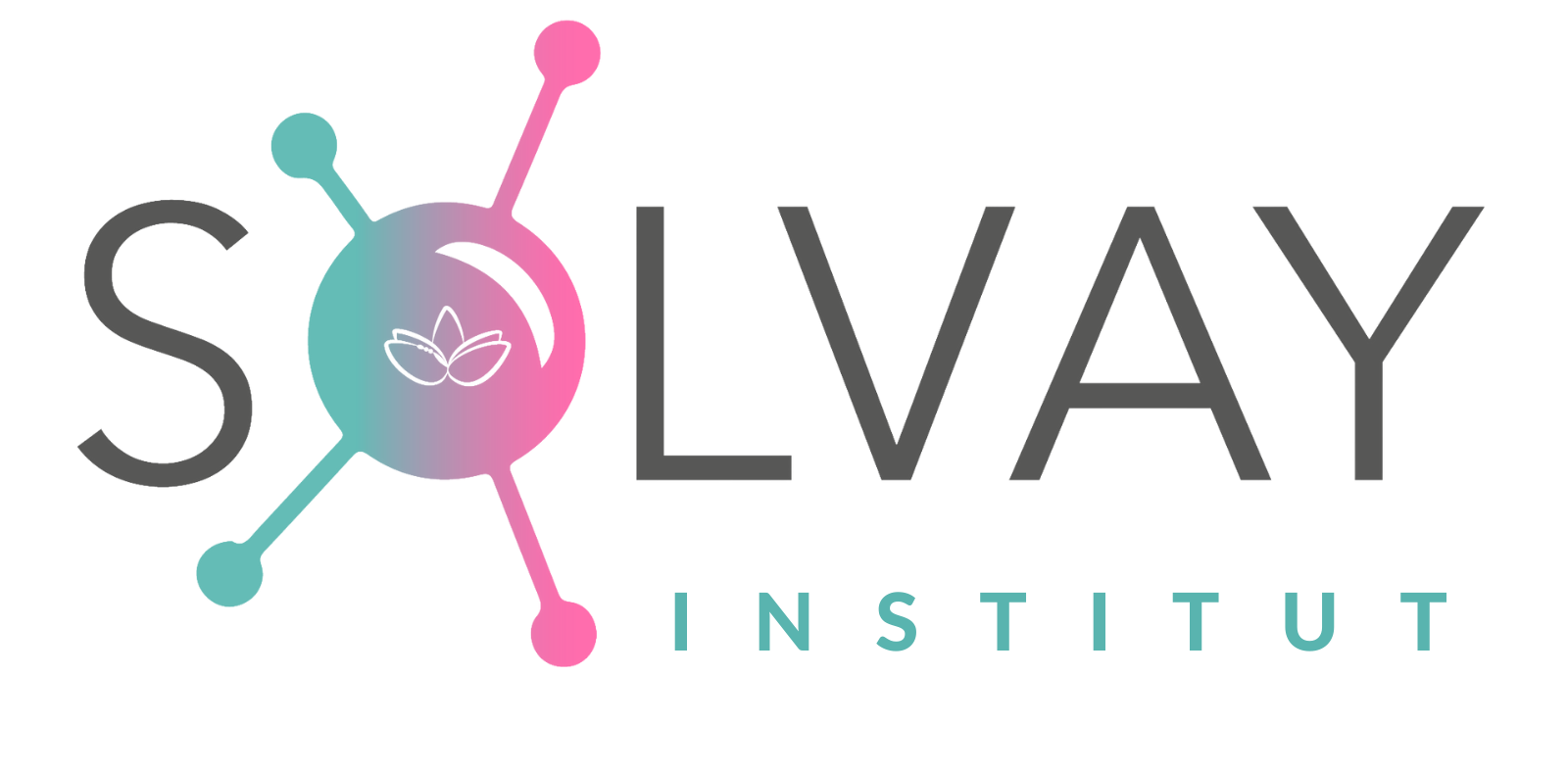 Logo de Institut Solvay